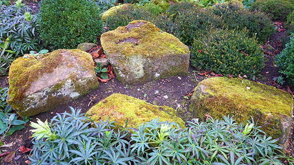 class-header-multimedia